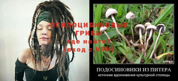 COCAINE Снежногорск