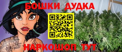 СК Донецк