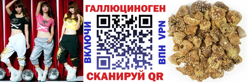 купить закладку  Лыткарино  Псилоцибиновые грибы мухоморы 