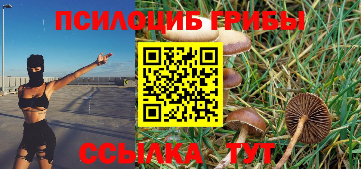 Псилоцибиновые грибы GOLDEN TEACHER  Вход с VPN  Лыткарино 
