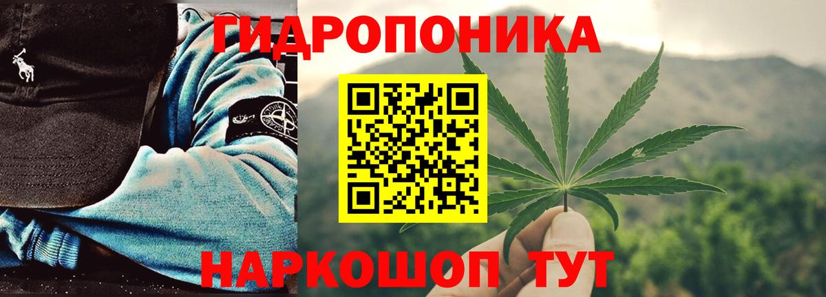 Шишки марихуана конопля  Вход с VPN  Канабис марихуана  Шишки марихуана Amnesia  Лыткарино 